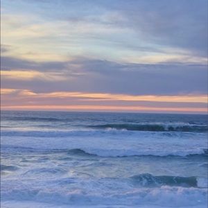 Meet your Posher, Riley